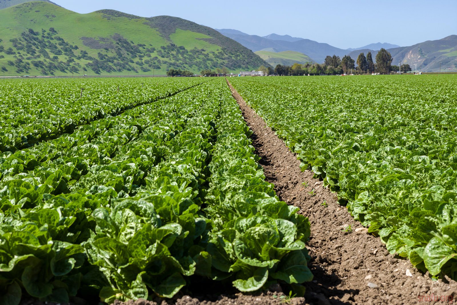 About Agronomé 